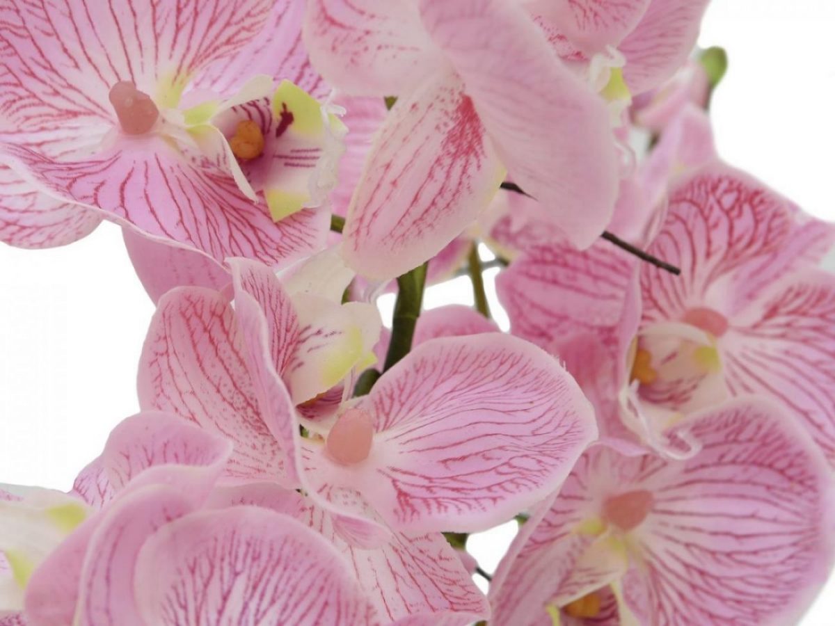 Orchidée Artificielle En Pot Pas Cher 60cm Pourpre Floranet